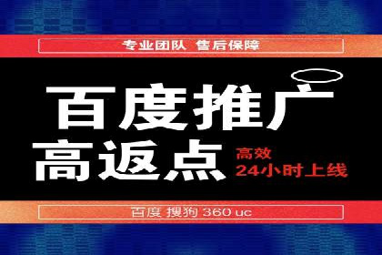 行业报告：专业SEM托管的成功实践与挑战